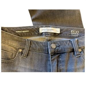 Liverpool Abby Skinny Released Raw Hem in Point Dunne